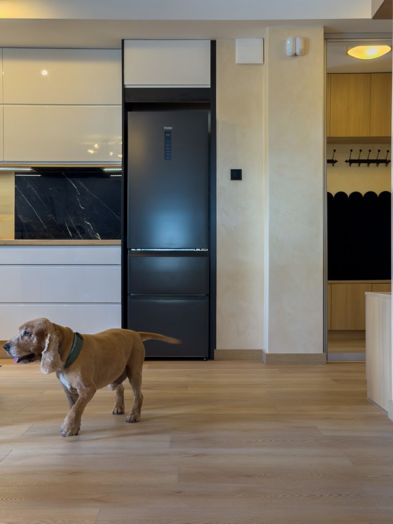 Realizacja PW Home